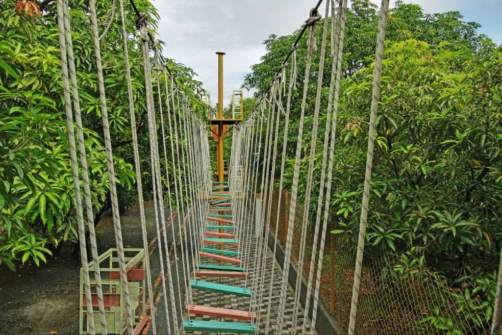 Descrição da imagem