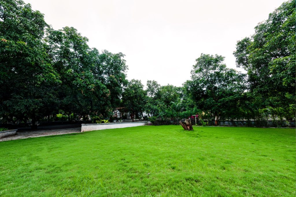 Descrição da imagem