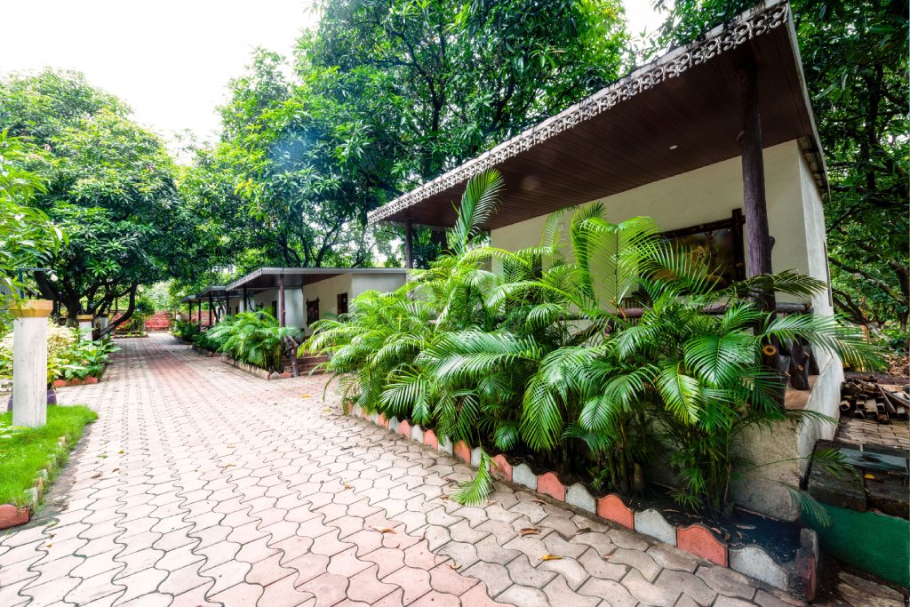 Descrição da imagem